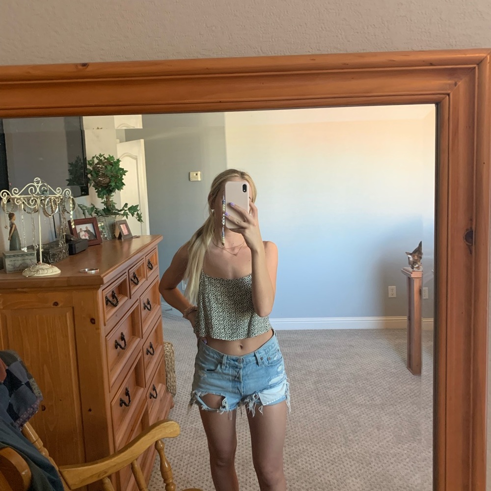 Cheetah tank
